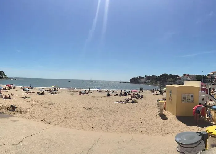 Palais Sur - - Les Sables D'or - Centre Appartement